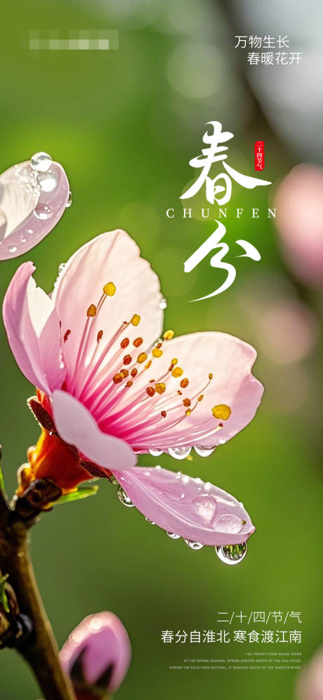 源文件下载【春分节气海报】编号：70810029588712634