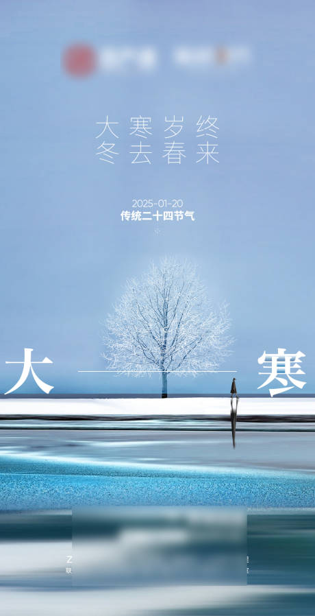 大寒节气地产海报