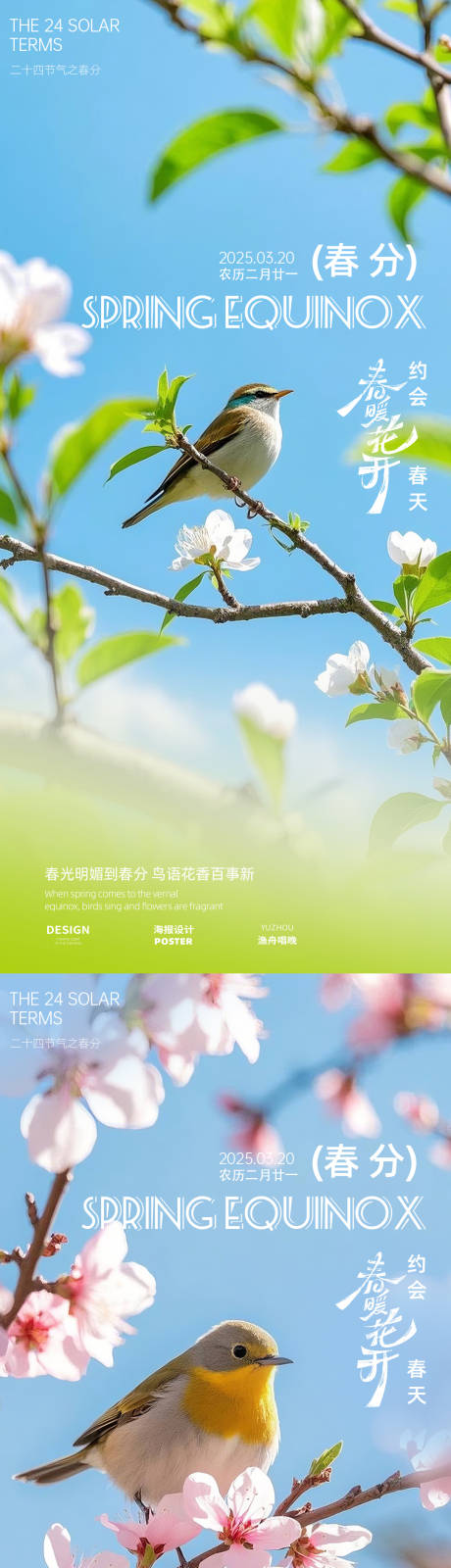 源文件下载【春分春日鸟系列海报】编号：39050029332102673