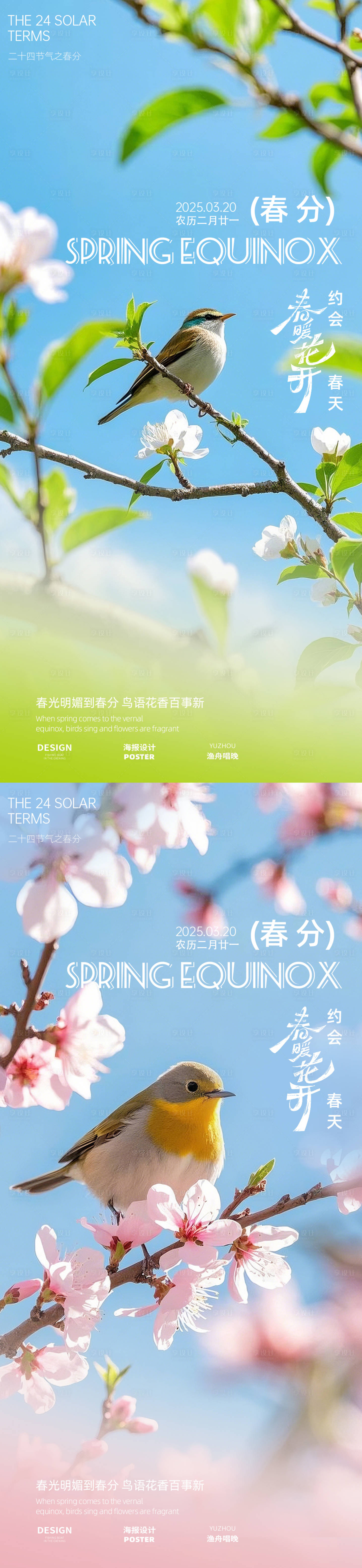 源文件下载【春分春日鸟系列海报】编号：39050029332102673