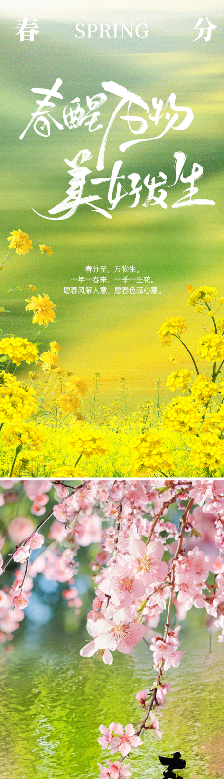 源文件下载【24节气春分海报】编号：17470029230067056