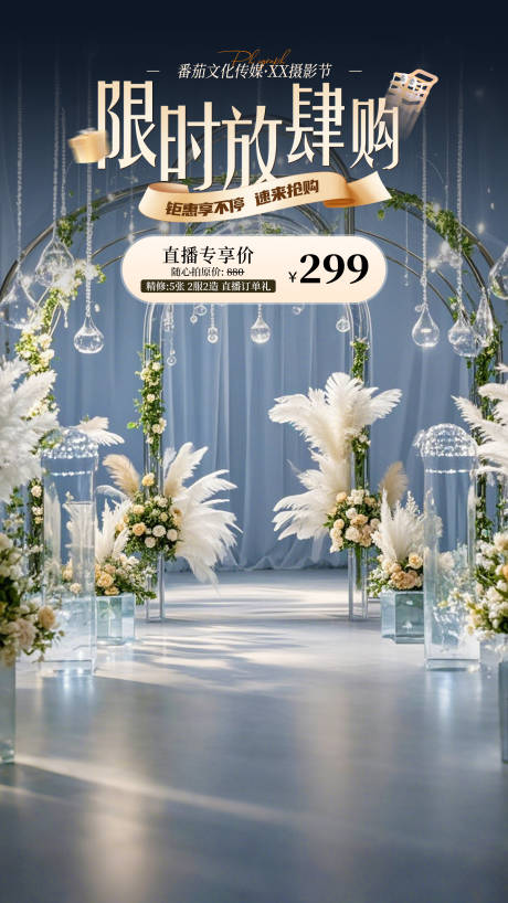 限时放肆购摄影节海报