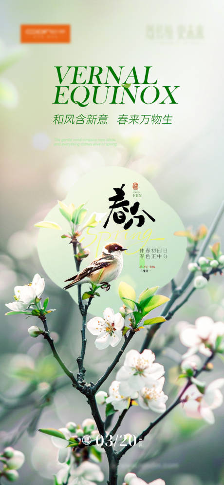 源文件下载【春分节气海报】编号：95110029576116914