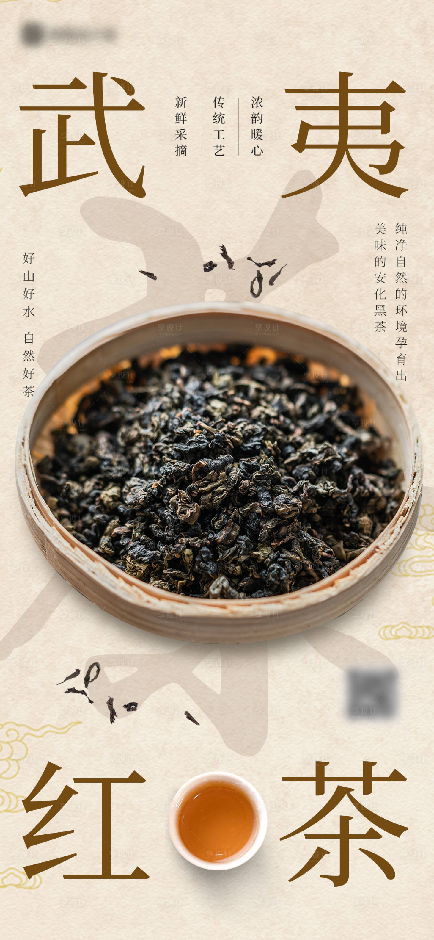 源文件下载【武夷红茶宣传海报】编号：88230029135785292
