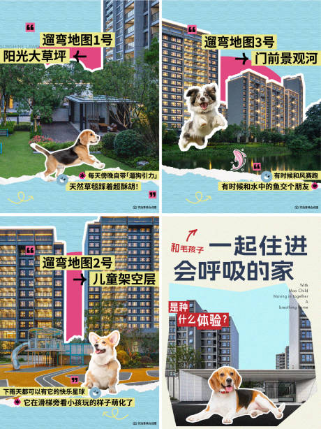 源文件下載【萌寵小紅書】編號：45310029309034219