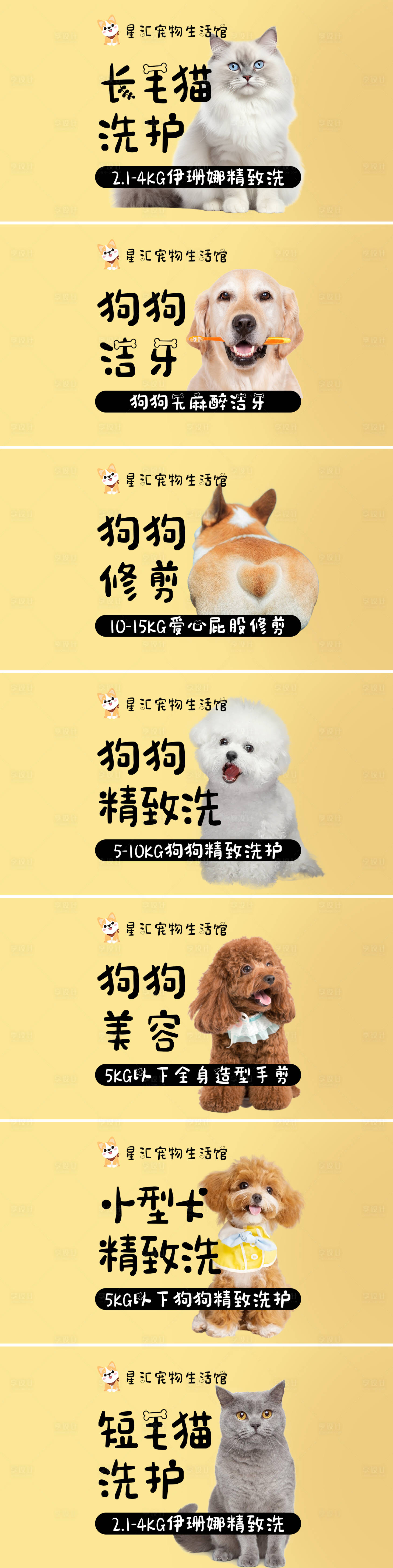 源文件下载【宠物洗护团购促销banner】编号：81910029730709659