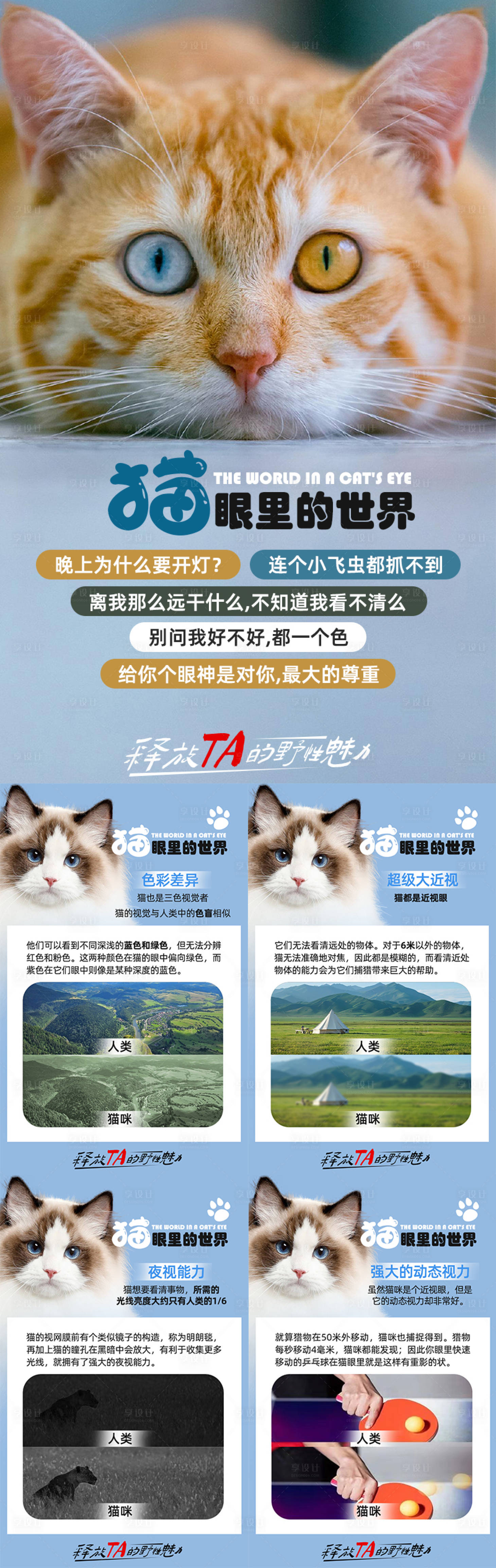 源文件下载【享设计】搜索编号：55070029163223580【宠物猫咪百科海报】