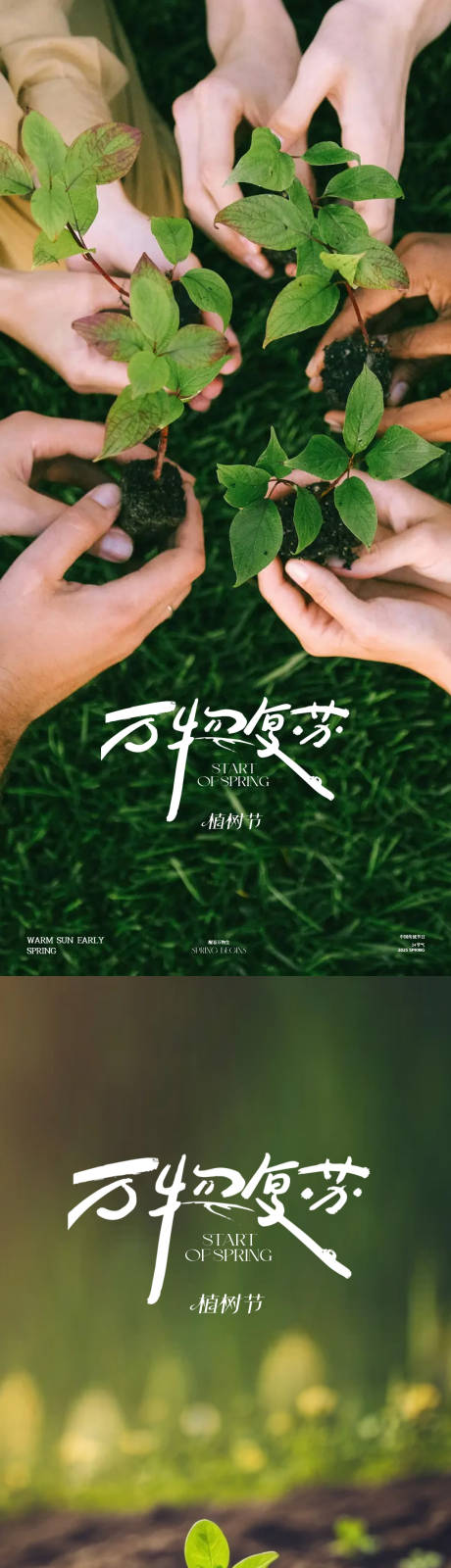 源文件下载【植树节海报】编号：49800029181322978