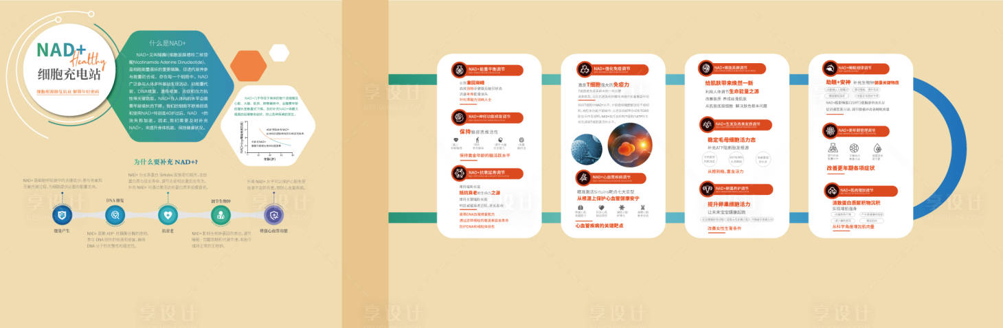 源文件下载【享设计】搜索编号：46140029156272305【医美整形品牌文化墙】