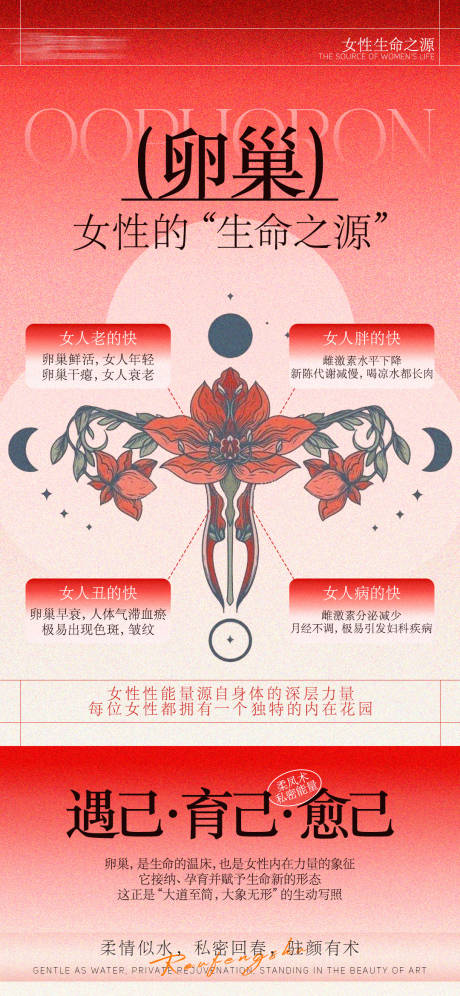女性卵巢插画海报