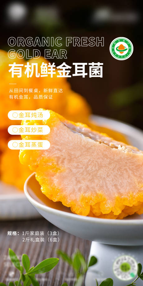 摄影图有机新鲜金耳海报