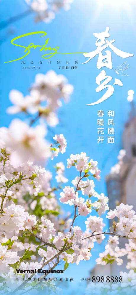 源文件下载【春分海报】编号：99930029446685269