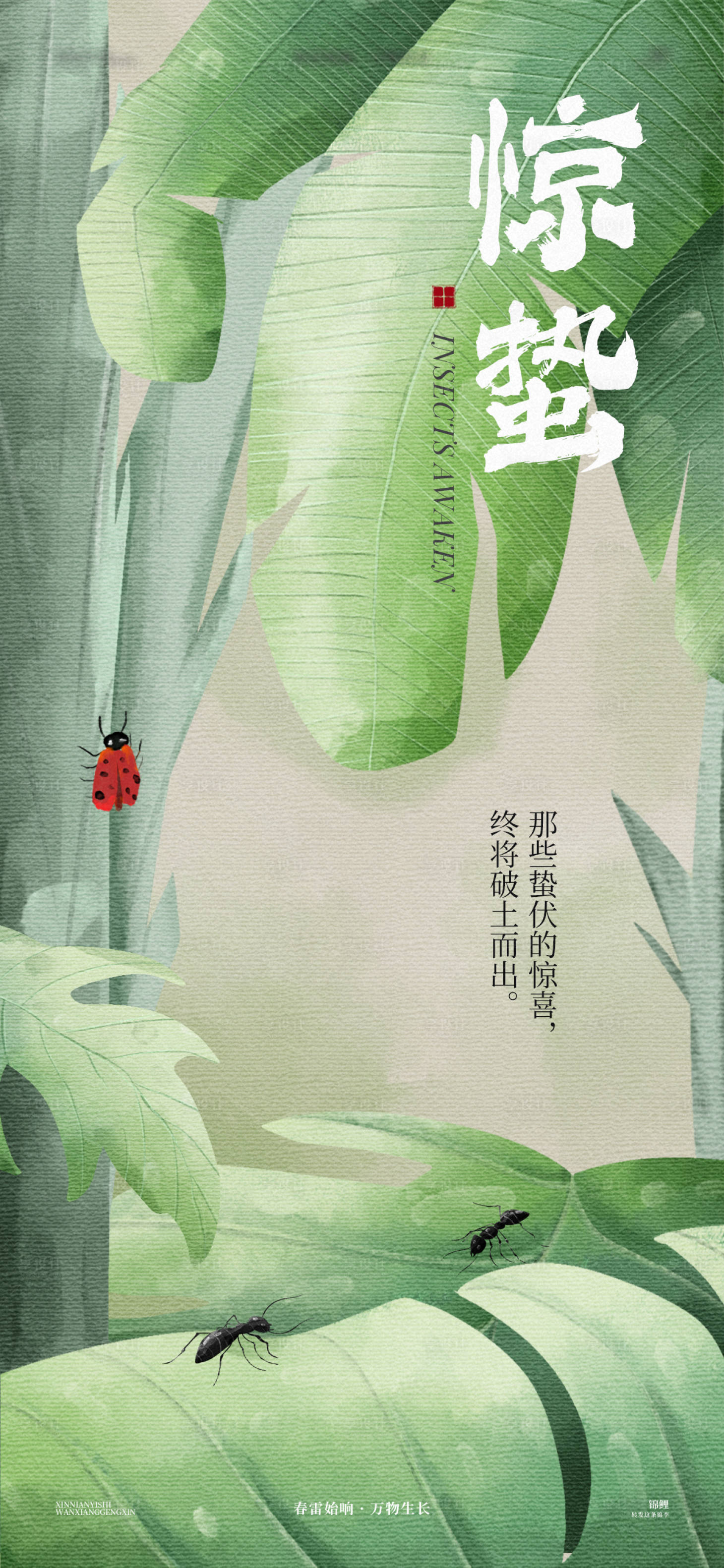 源文件下载【享设计】搜索编号：14130029225558721【惊蛰植物插画海报】