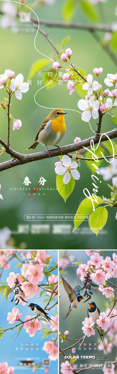 源文件下载【享设计】搜索编号：66600029369587559【春分节气系列海报】
