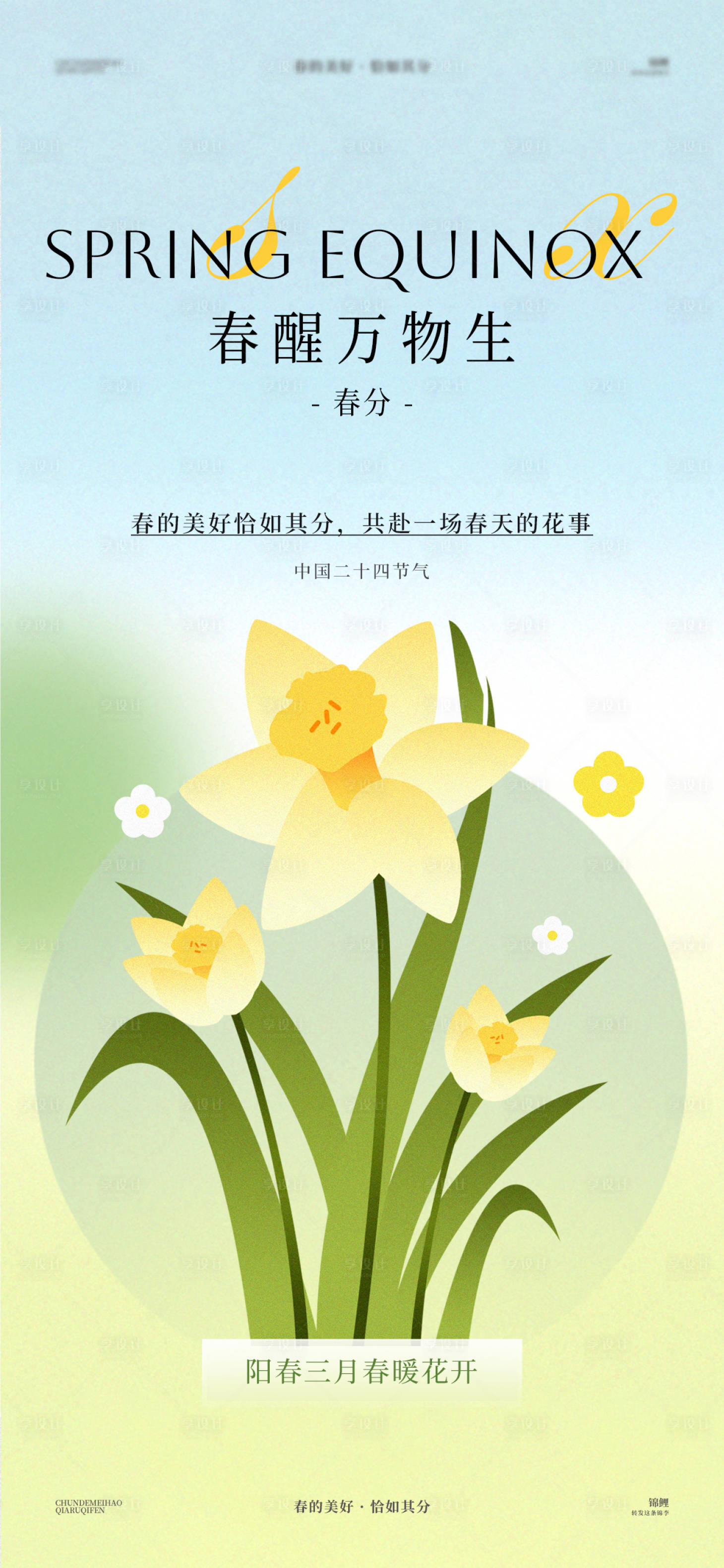 源文件下载【春分花朵海报】编号：56850029574402120