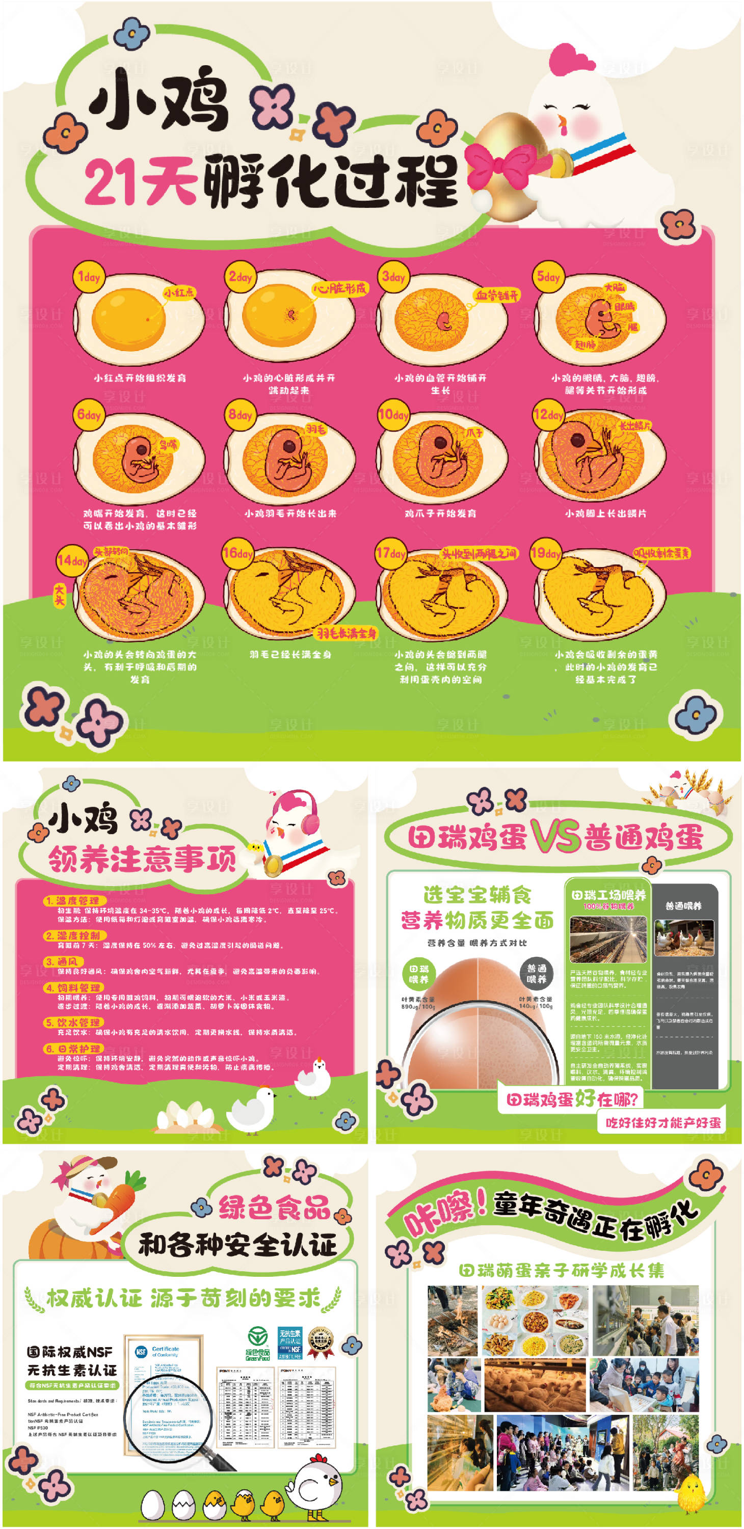 源文件下载【享设计】搜索编号：97150029142207450【鸡蛋展架】