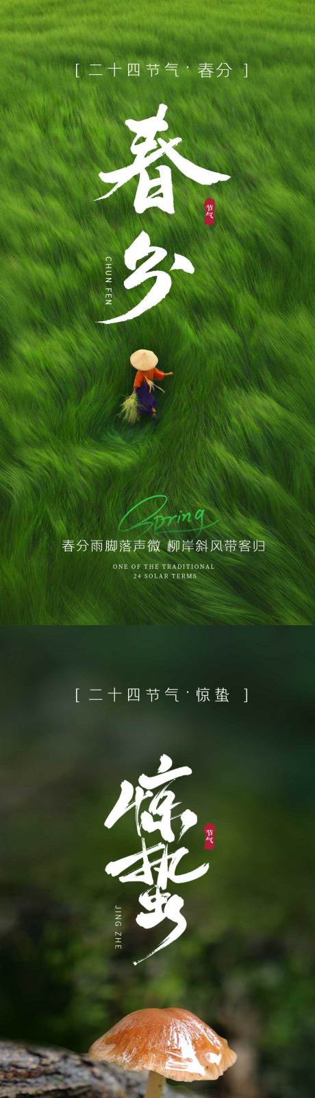 源文件下载【春分惊蛰节气系列海报】编号：43110029378162158
