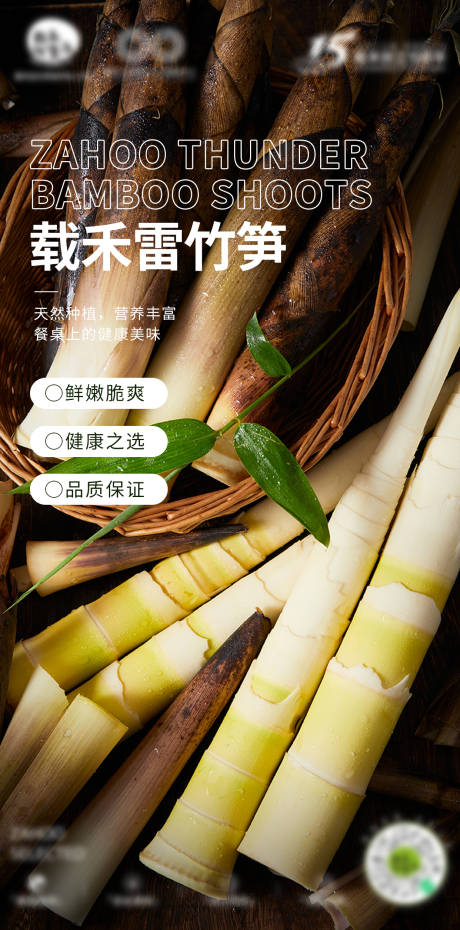 雷竹笋推广海报