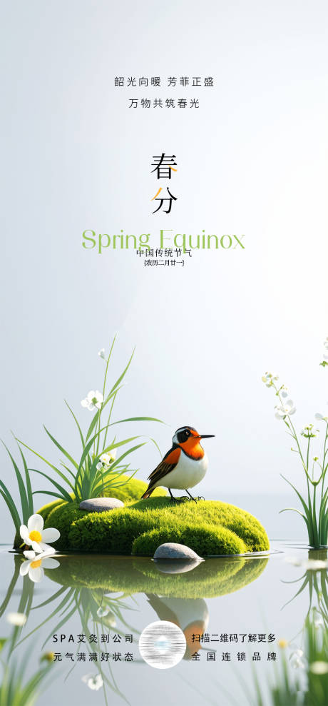春分节气海报