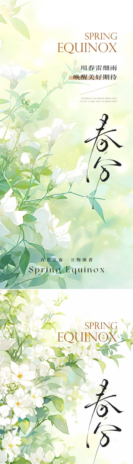 春分花朵小清新系列海报