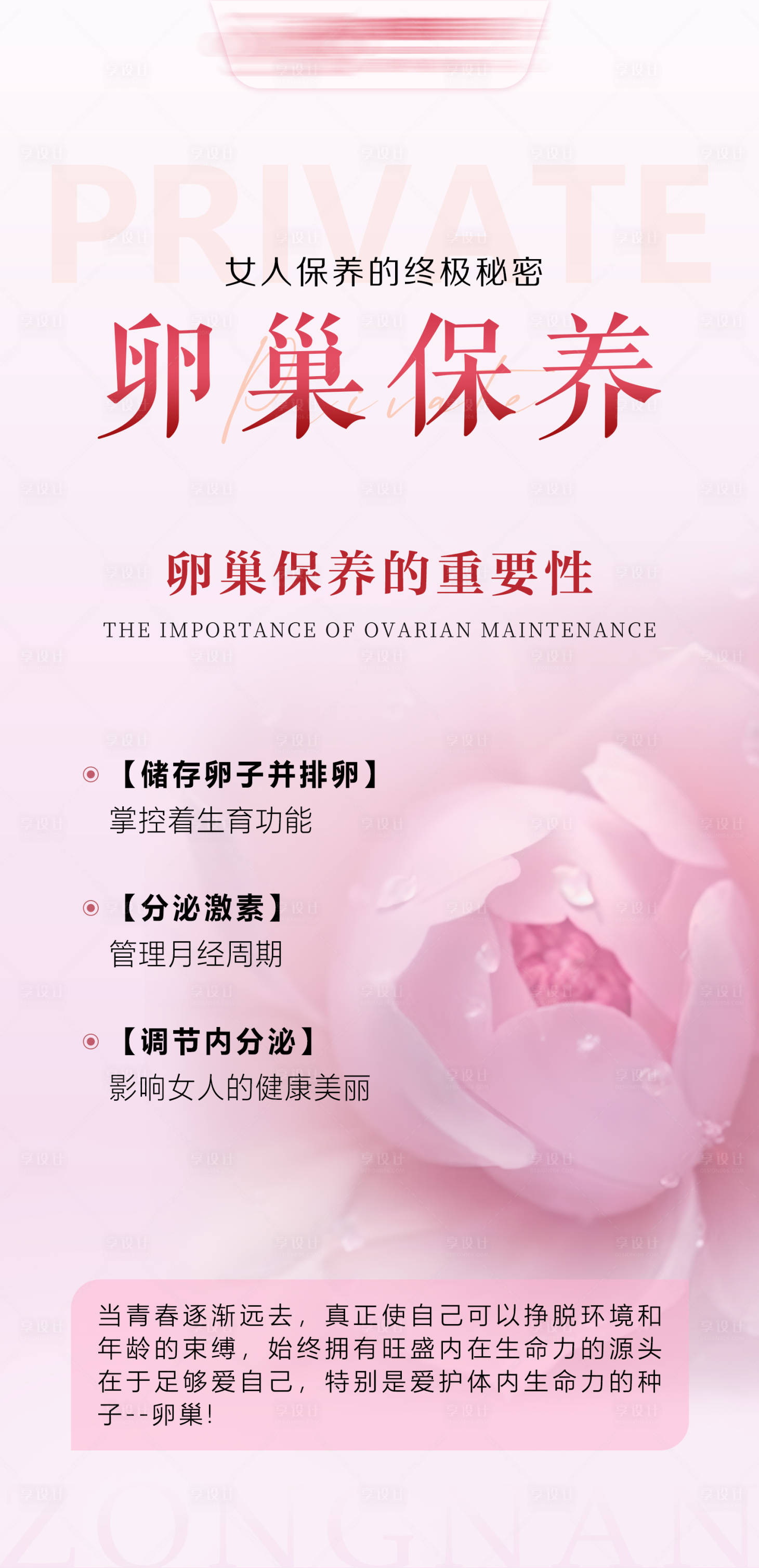 源文件下载【享设计】搜索编号：55860029539018581【卵巢保养】