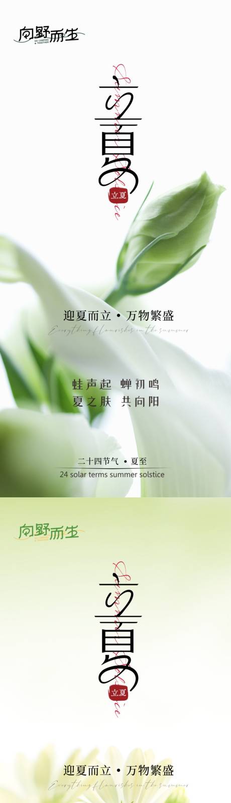 源文件下載【享設計】搜索編號：16360029366399671【立夏海報】