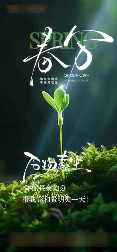 春分节气海报