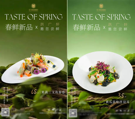 源文件下载【春季菜系列海报】编号：56300029356728185