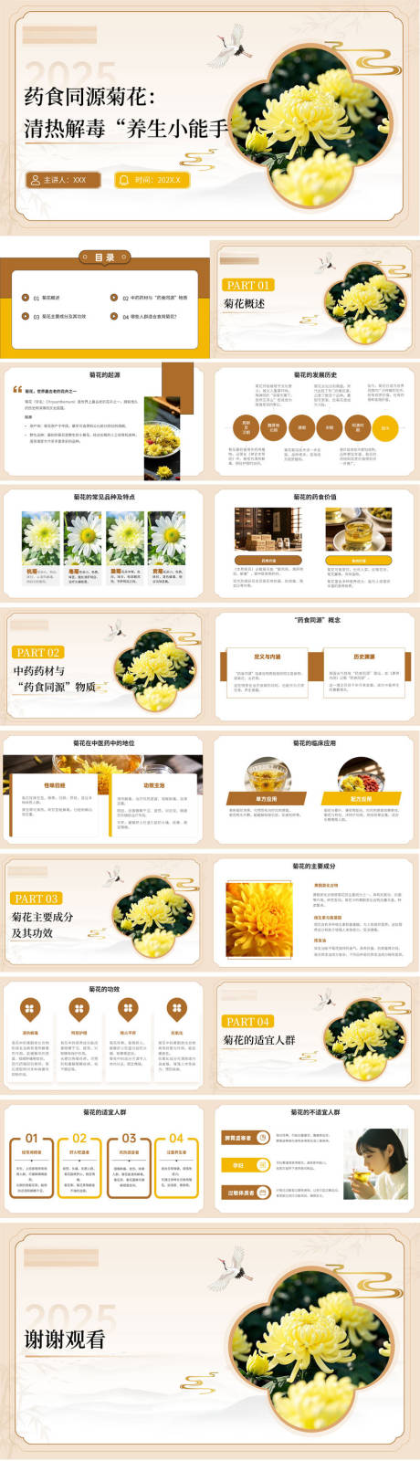 药食同源菊花 