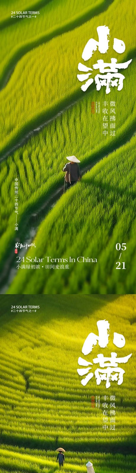 源文件下载【小满节气海报】编号：41050029476423394