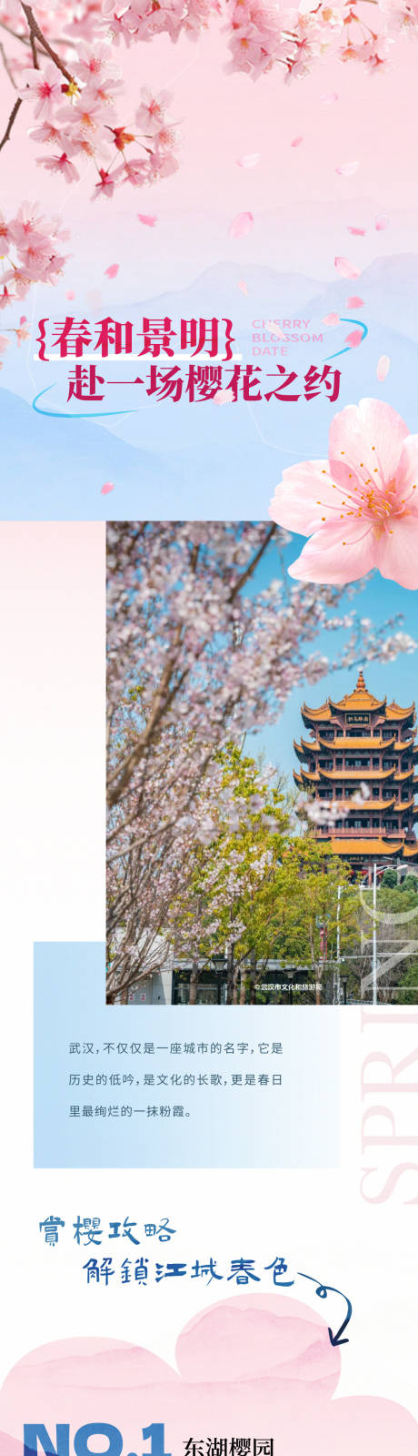 源文件下载【樱花季宣传长图】编号：48890029762628128