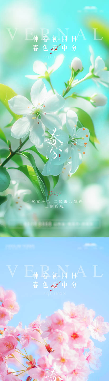 源文件下载【享设计】搜索编号：81870029511753257【春分节气海报】