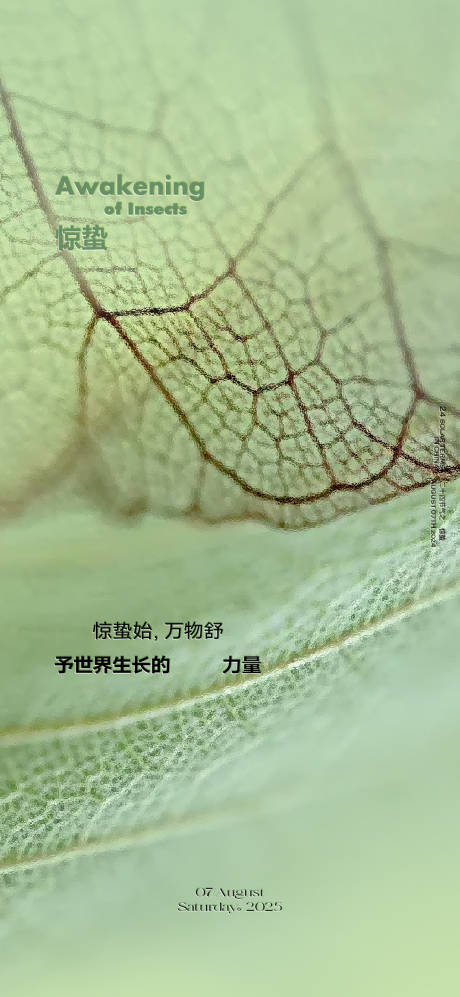 源文件下载【享设计】搜索编号：31200029146646125【质感惊蛰节气海报】