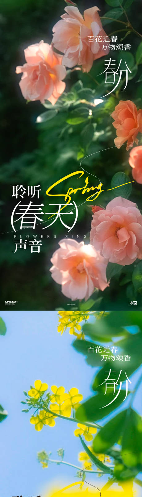 源文件下载【春分节气系列海报】编号：33080029514613547