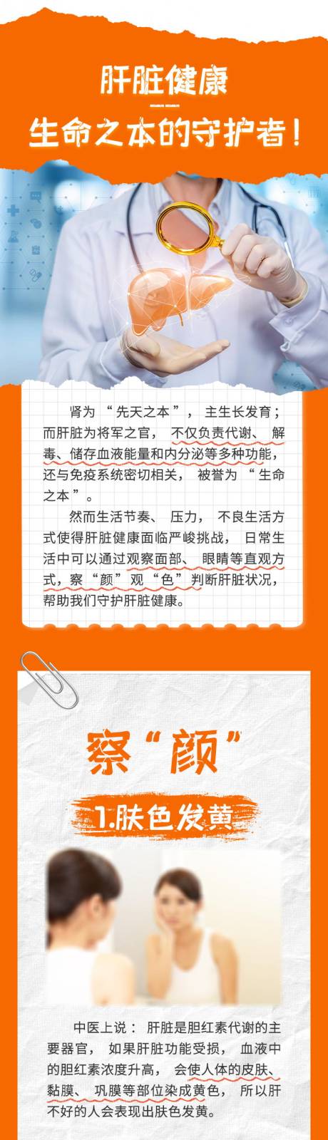 源文件下载【辨别肝脏健康长图海报】编号：43660029559865389