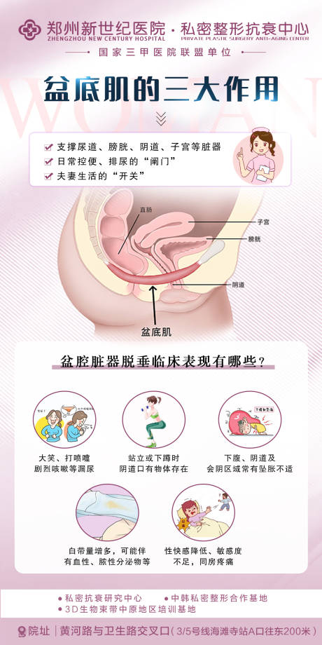源文件下载【盆底肌】编号：17930029495564621