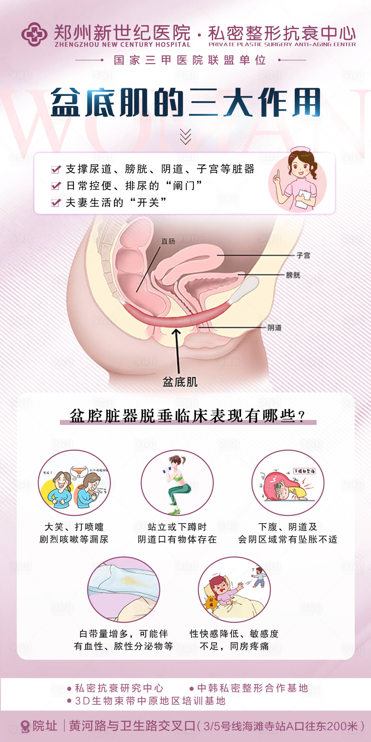 源文件下載【享設(shè)計】搜索編號：17930029495564621【盆底肌】