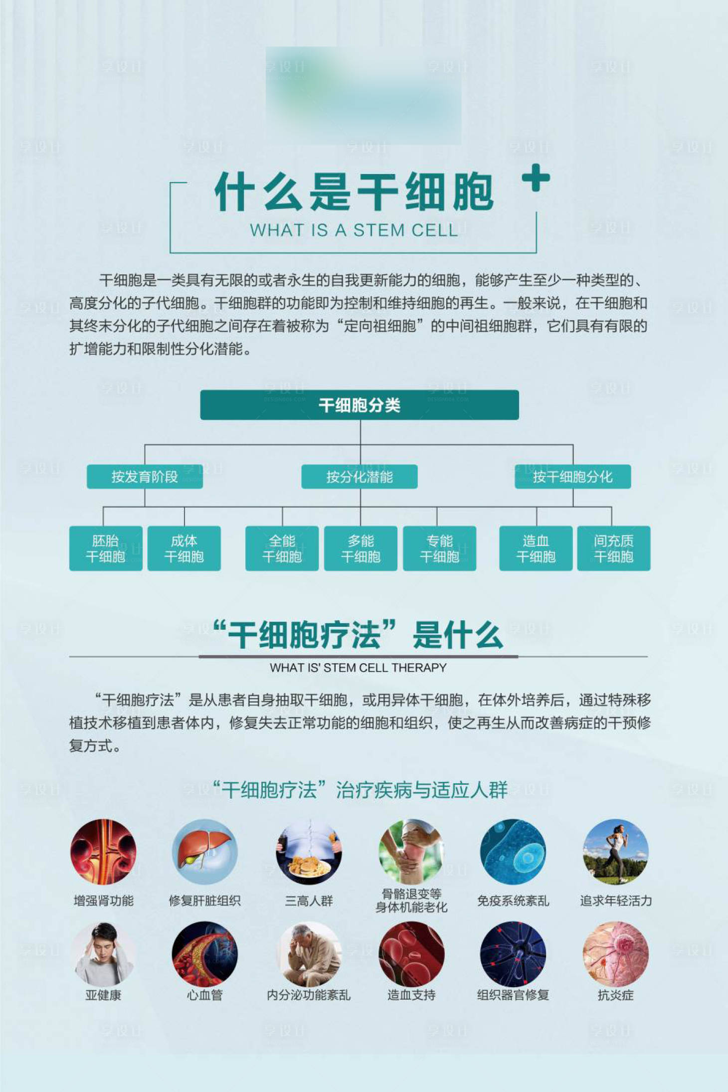 源文件下載【享設(shè)計(jì)】搜索編號(hào)：50400029574789930【干細(xì)胞產(chǎn)品介紹宣傳海報(bào)】