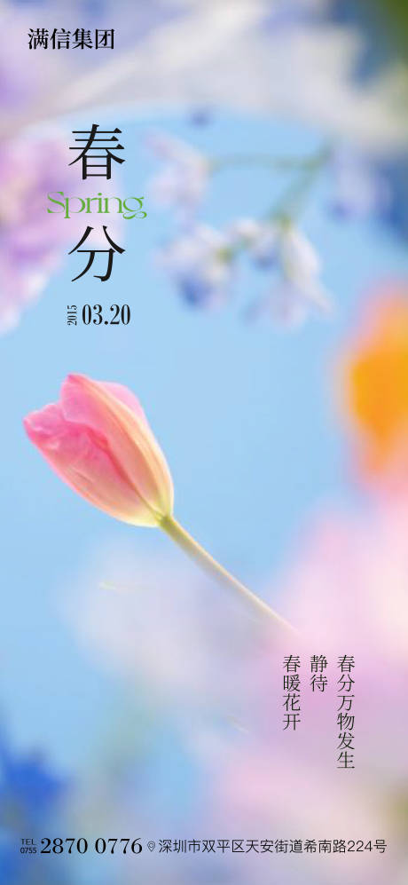 源文件下载【春分海报】编号：25200029540169591