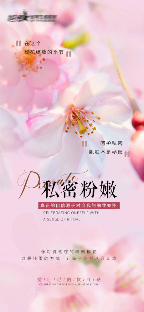 源文件下载【享设计】搜索编号：55730029863812907【私密粉嫩宣传海报】