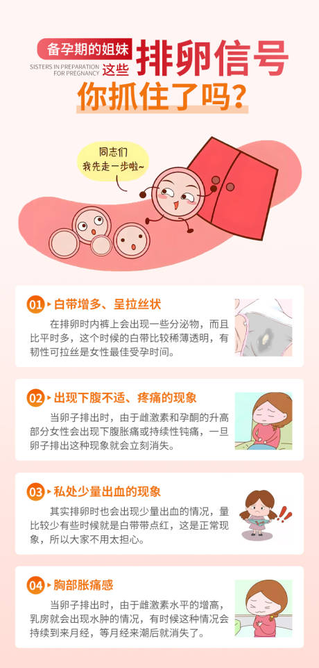 排卵信号科普海报