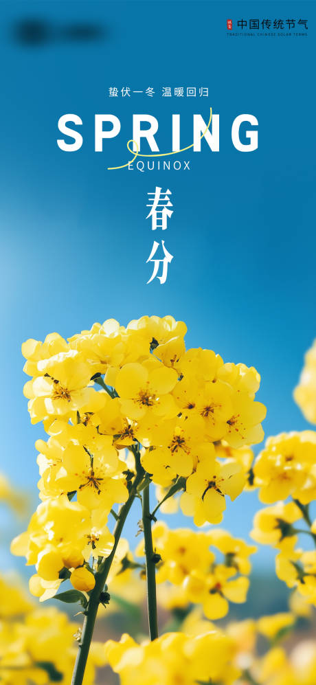 源文件下载【春分节气海报】编号：69270029281301059