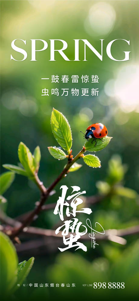 惊蛰海报
