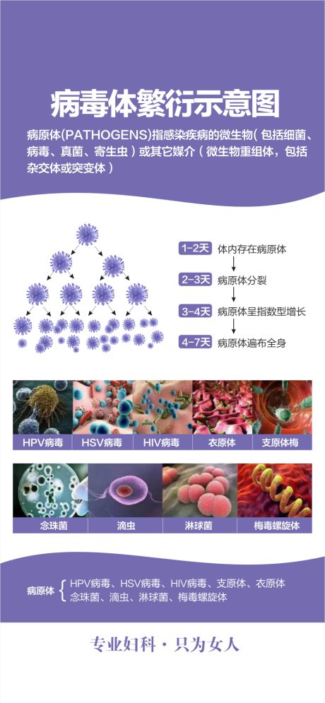 源文件下載【享設(shè)計】搜索編號：42400029211154212【婦科炎癥 】