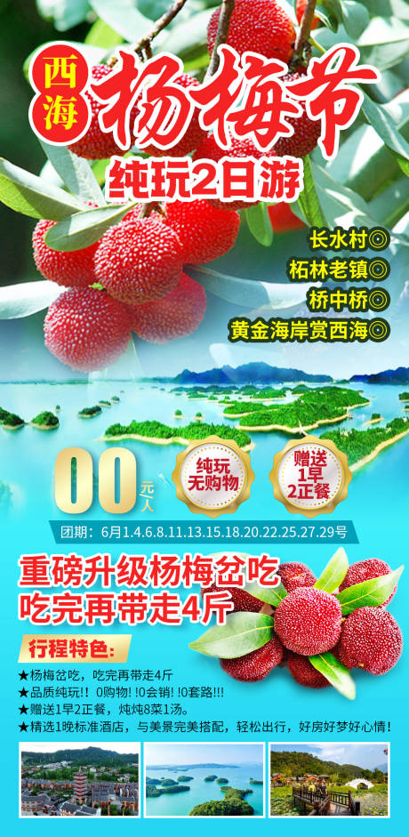 西海杨梅节纯玩2日游