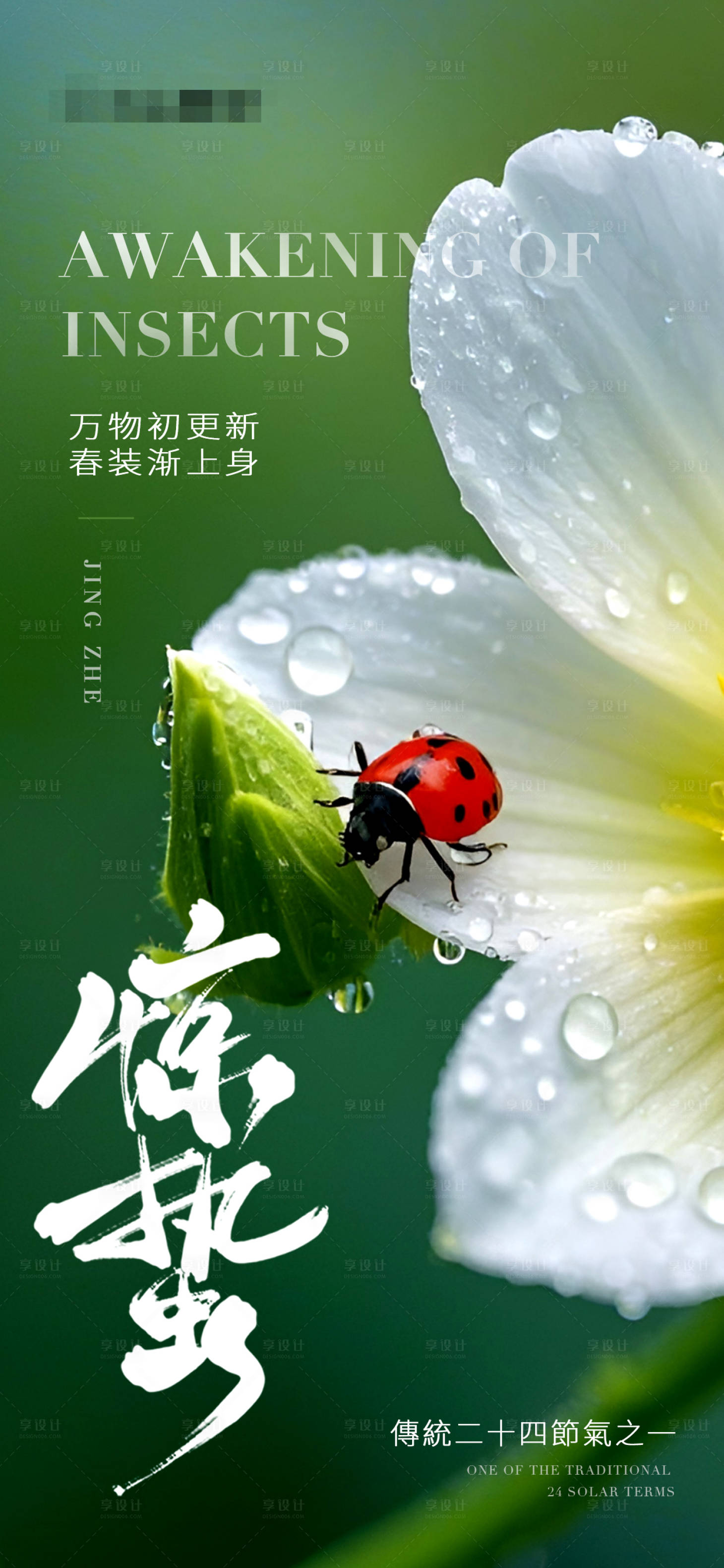 源文件下載【享設計】搜索編號：71440029144948220【驚蟄節氣海報】