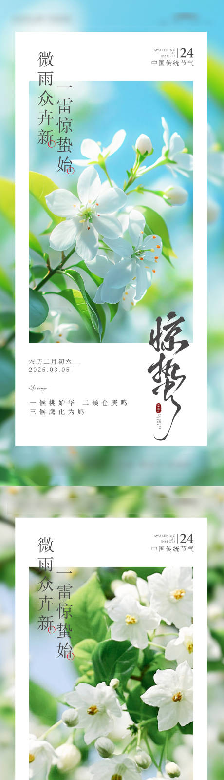 源文件下载【惊蛰节气海报】编号：57950029103479225