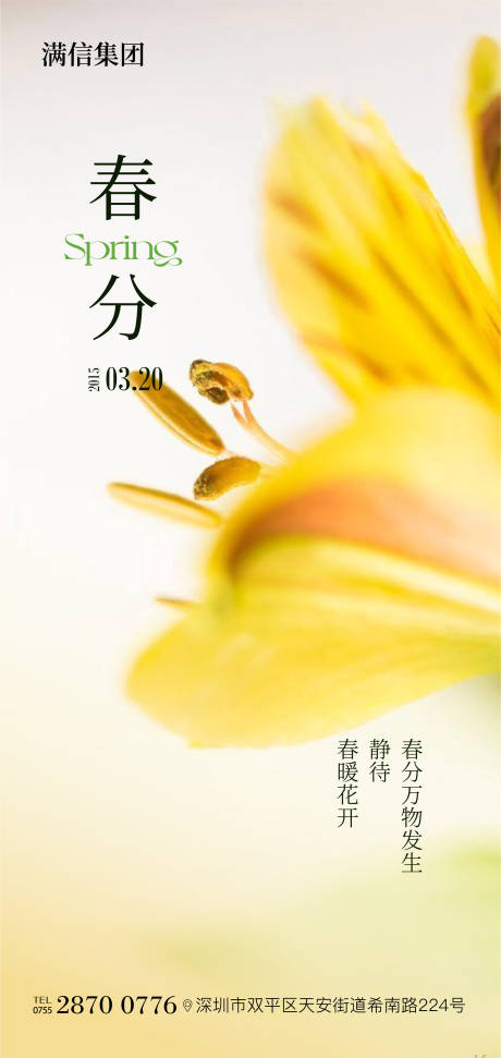 源文件下载【春分海报】编号：16140029542088643