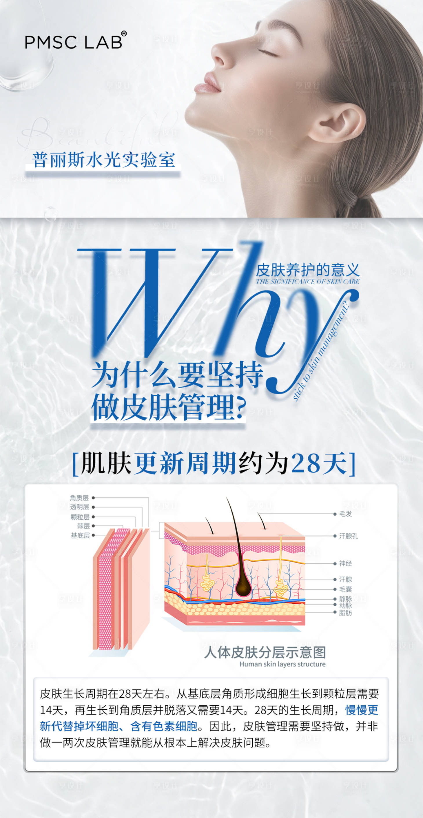 源文件下載【享設計】搜索編號：42530029176099832【美業水光科普海報】