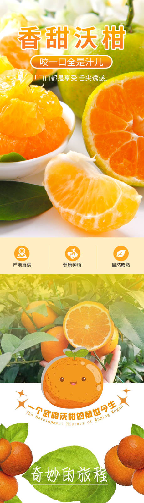 源文件下载【水果详情】编号：80700029862513307